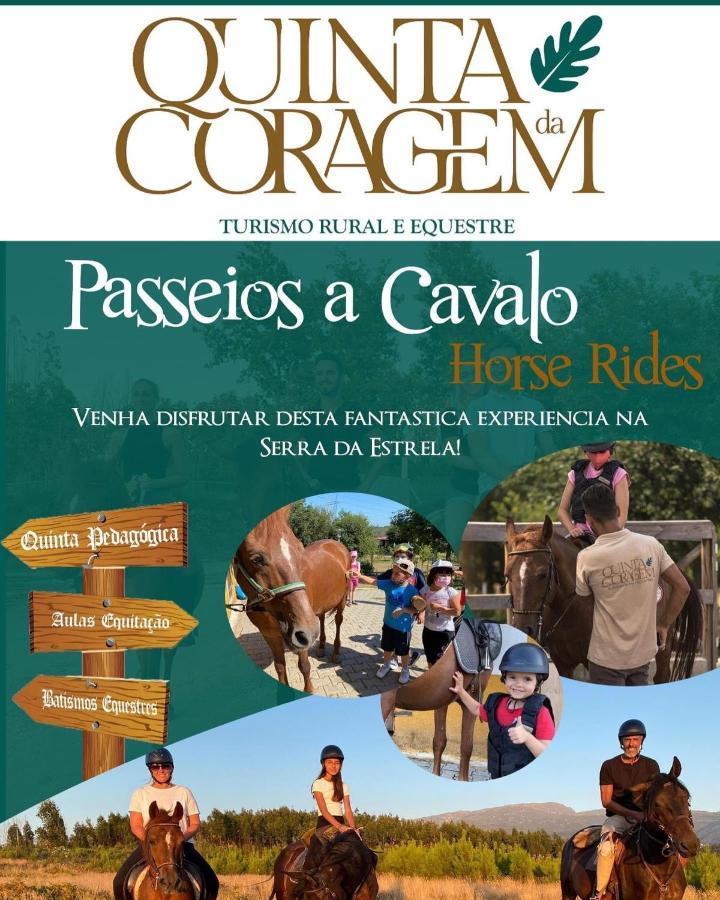 Casa D'Avo Coragem Appartement Seia Buitenkant foto